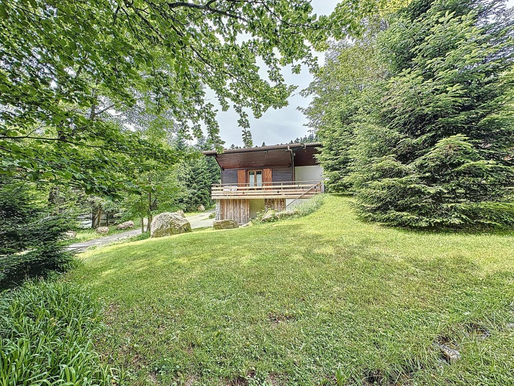 Villa Le Chalet Des Belles Roches, La Bresse Hohneck Exterior foto